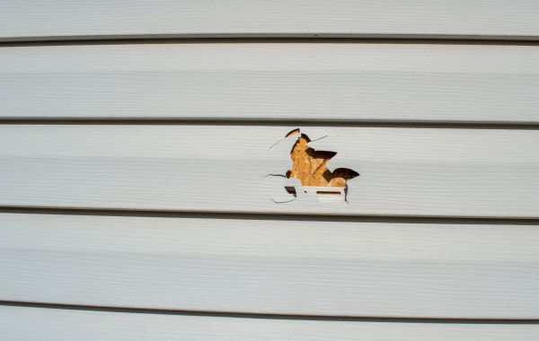 Siding Hole Patching in Billings